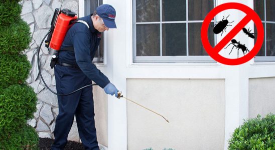 Seben Böcek ve Haşere İlaçlama böcek ilaçlama ve haşere kontrolü — ilaclama-tr.com